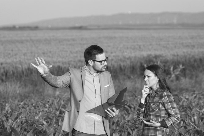 Servivio de Due Diligence Operacional para empresas que quiere comprar o invertir